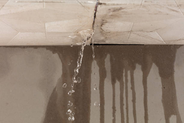 Professional Structural Drying technician working in Fruithurst, AL